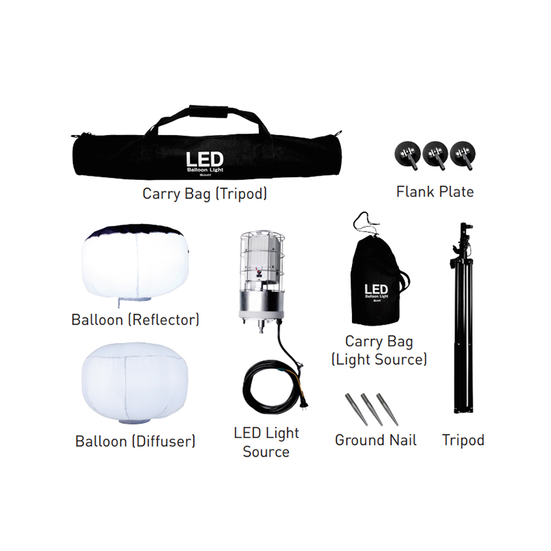 LED Balloon Light