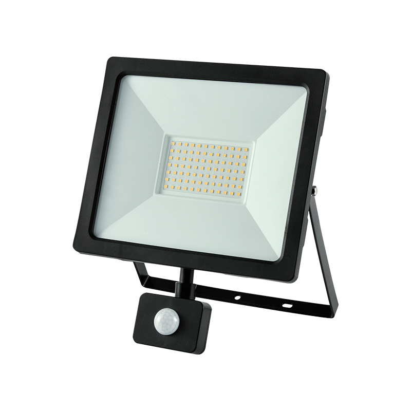 LED Flood Light (General Lighting)