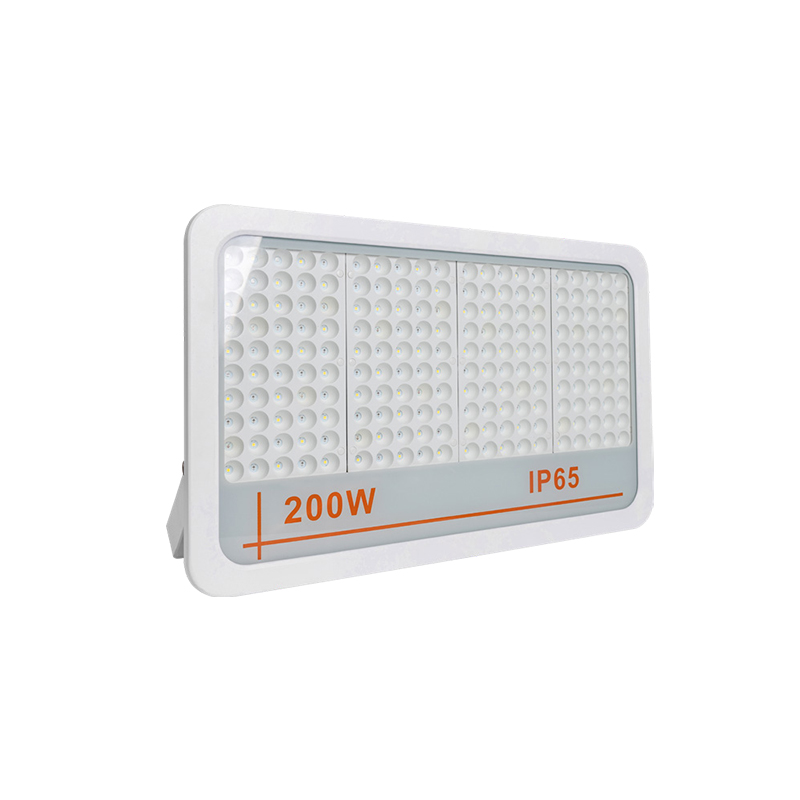 LED Flood Light