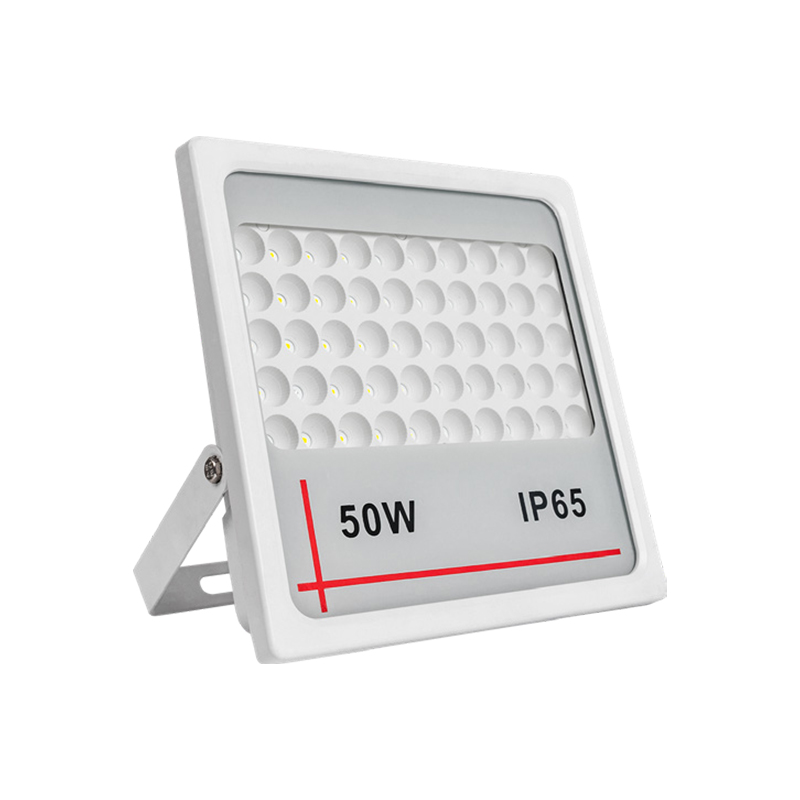 LED Flood Light