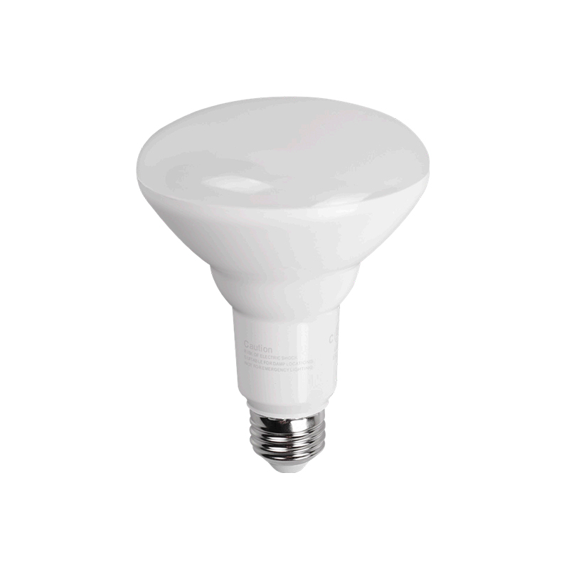 LED Bulb BR30 & PAR38