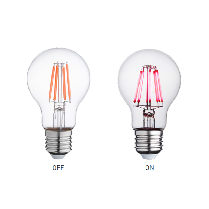 LED Filament Bulb