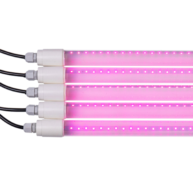 IP65 T8 LED Tube