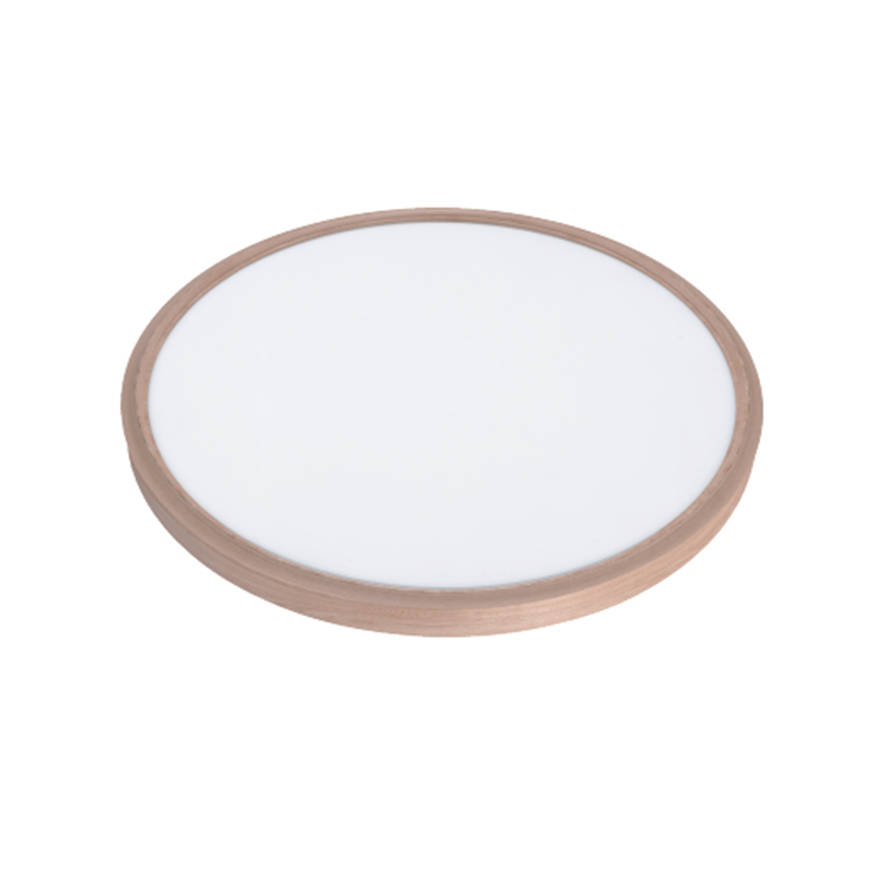 Full Plastic Edge Light - Ultra-Slim Flush Mount Model