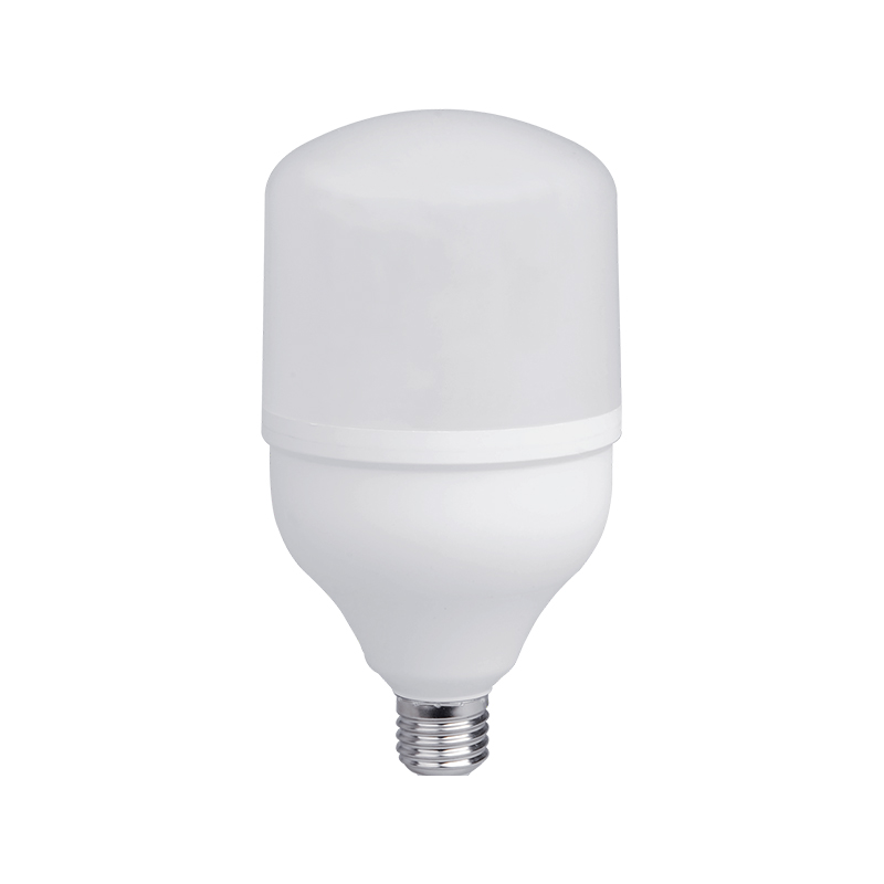 T Series LED SMD Bulbs