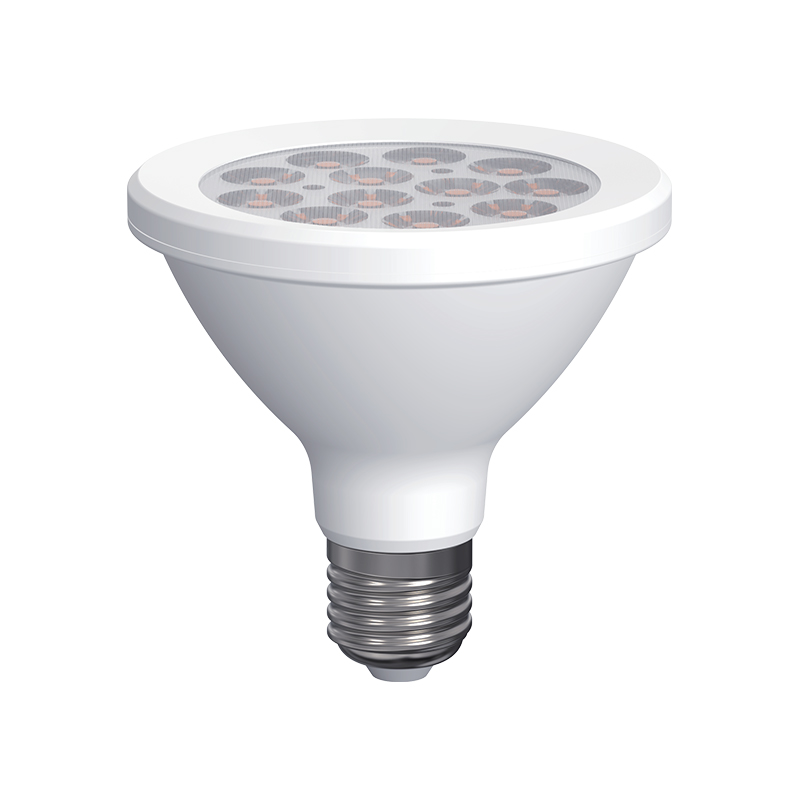 PAR Series LED SMD Bulbs