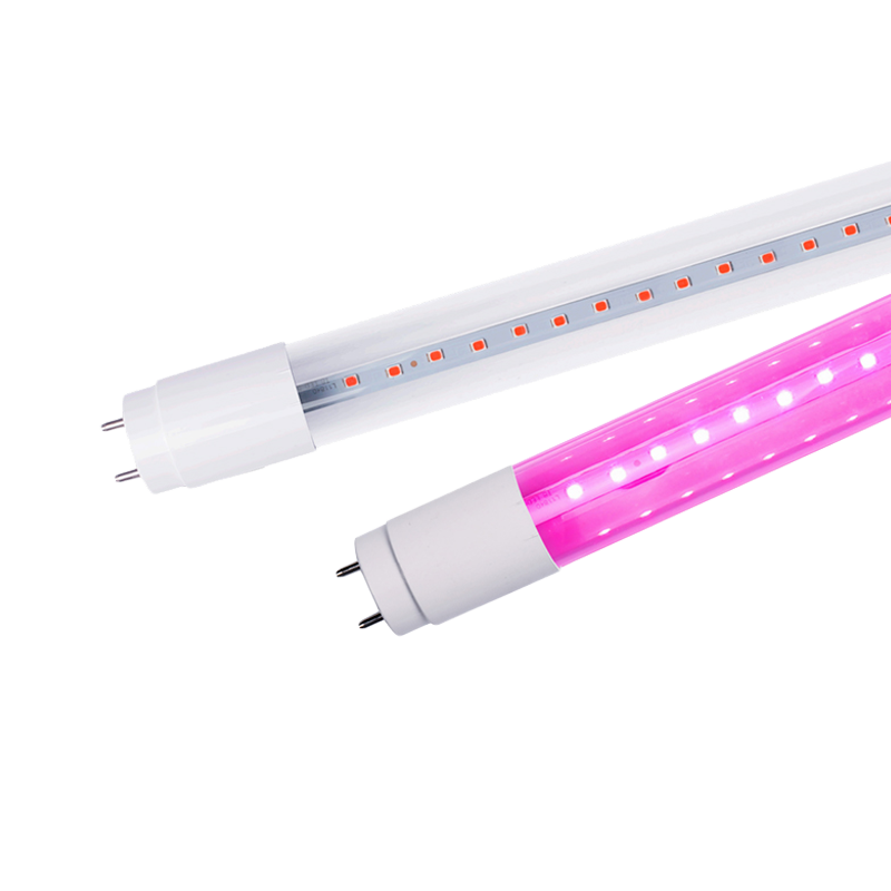 T8 LED Glass Tube