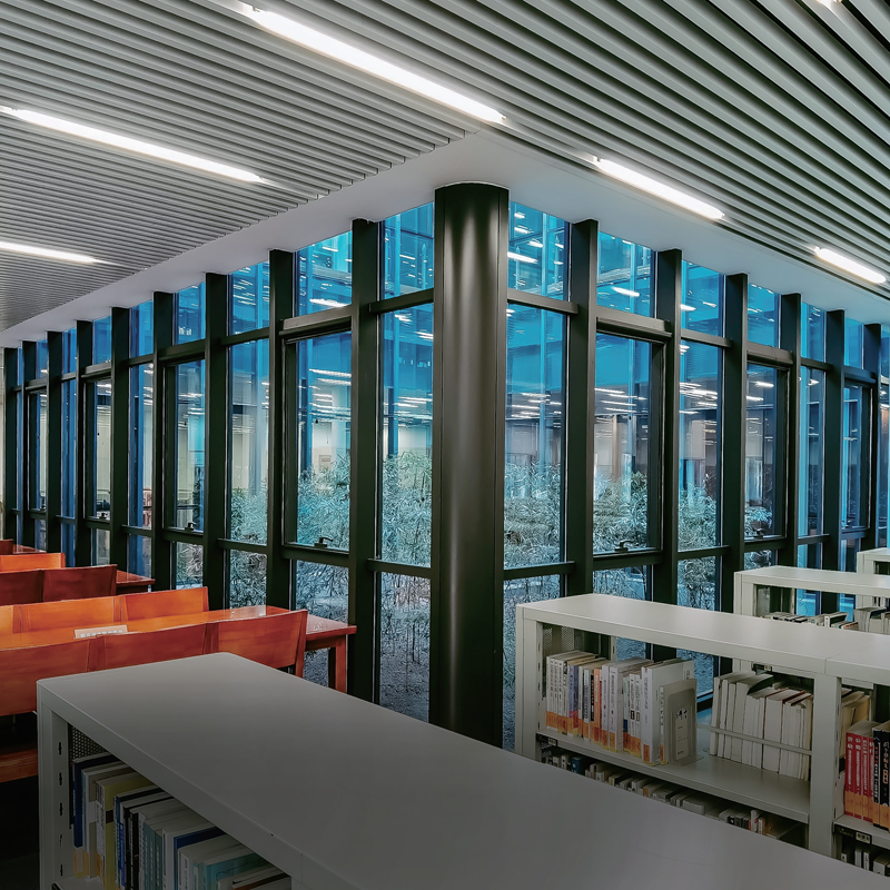 T8 LED Tube Light (c-UL-us Certified) with Versatile Design