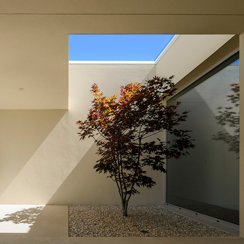Artificial skylight above an indoor courtyard tree