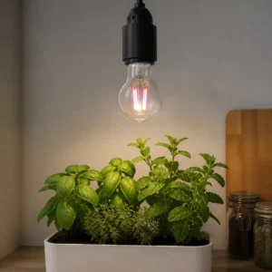 A19 horticultural LED filament bulb above an indoor plant