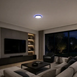Edge RGB flush-mount ceiling light installed in a dry indoor media room with front white light and a restrained blue perimeter accent