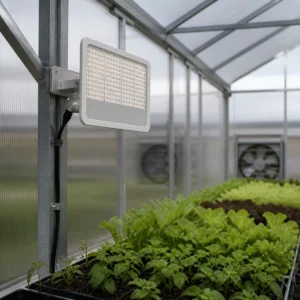 XGYPGL-FL-E100 bracket-mounted horticultural LED flood light aimed at greenhouse crops