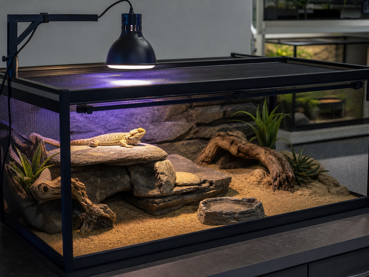 Reptile habitat with overhead specialty lighting bright zone mesh barrier and shaded retreat