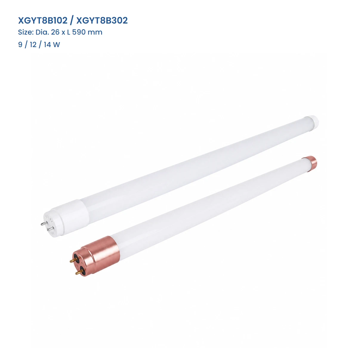XGYT8B102 / XGYT8B302 SASO T8 LED glass tube, Dia. 26 x L 590 mm, with plastic and rose-gold aluminum G13 end caps