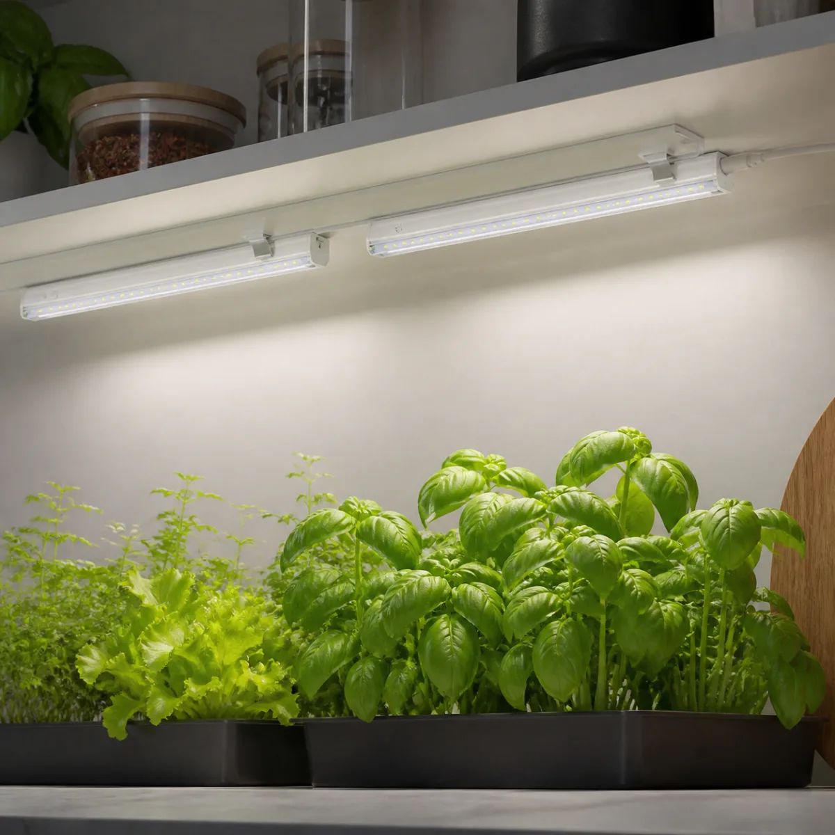 T5 integrated LED grow-light bars mounted beneath a shelf above indoor herbs