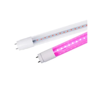 T8 Glass Horticultural LED Tube on a white background