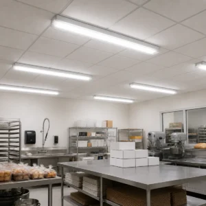 Linear T8 lighting installed above a commercial food preparation and packaging room