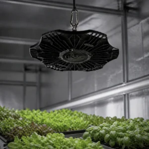 XGYPGL-UFO-E100 suspended above leafy greens in an indoor growing room