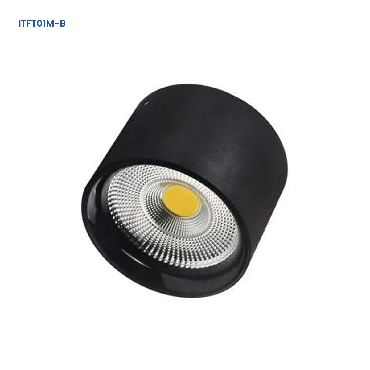 ITFT01M-B adjustable surface-mounted die-cast LED downlight with reflector optic