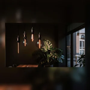 ONE Series Decorative LED Filament Bulbs application scene