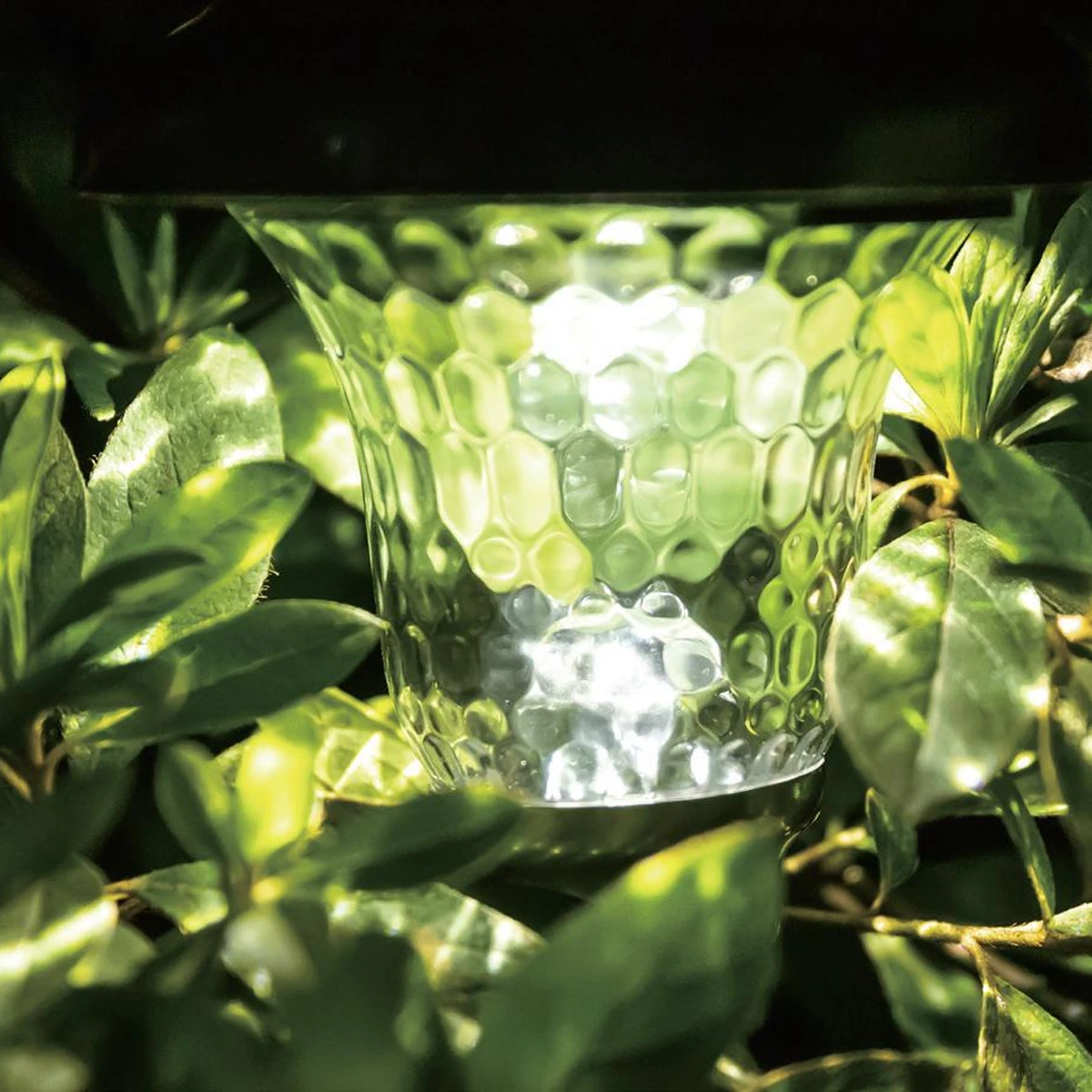 XGY-SH-BT-GL8022 black faceted solar landscape light among garden foliage