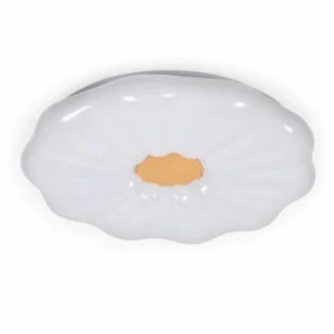 Special-shape metal-base LED ceiling lamp on a white background