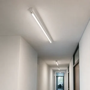 Slim T5 fluorescent tube installed in a compatible open G5 ceiling batten in an office service corridor