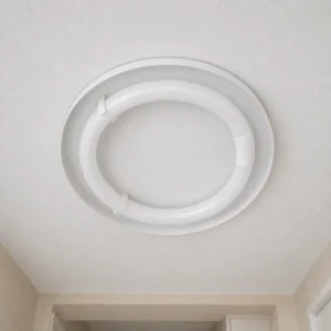 Unlit T9 circular fluorescent lamp installed in a round ceiling fixture with the diffuser removed