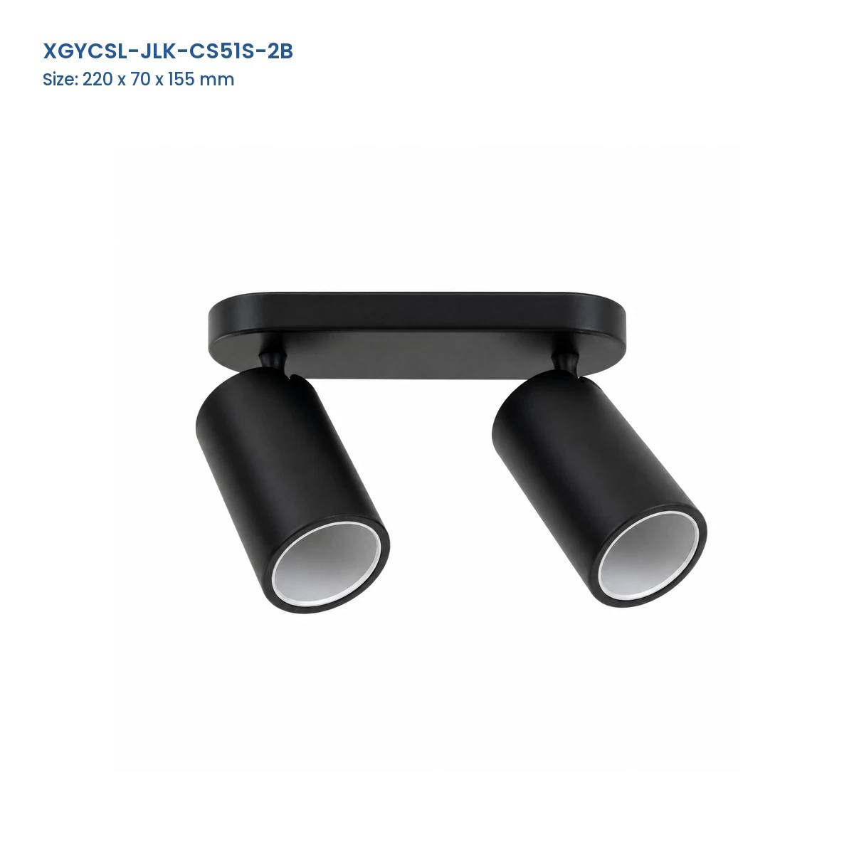 XGYCSL-JLK-CS51S-2B two-head linear-base housing with Model and Size labels