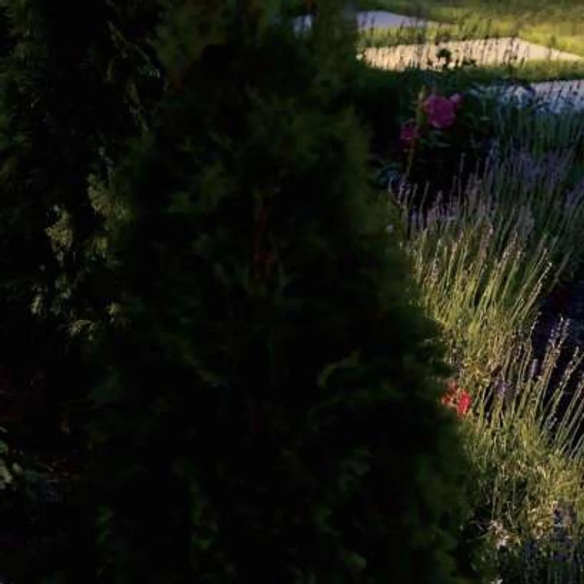 XGYFL-LC-XRSLDC04 solar flood light in an outdoor installation