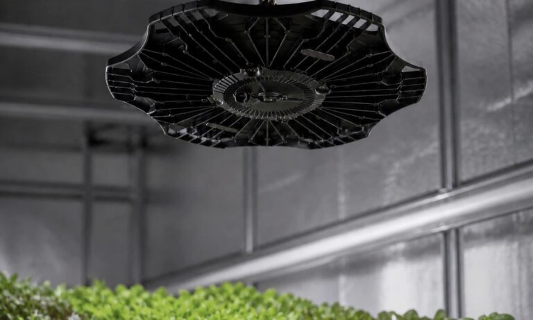 Horticultural UFO LED high bays illuminating leafy greens