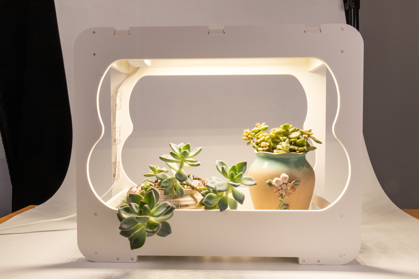 Tabletop New Lights grow light surrounding several potted succulent plants