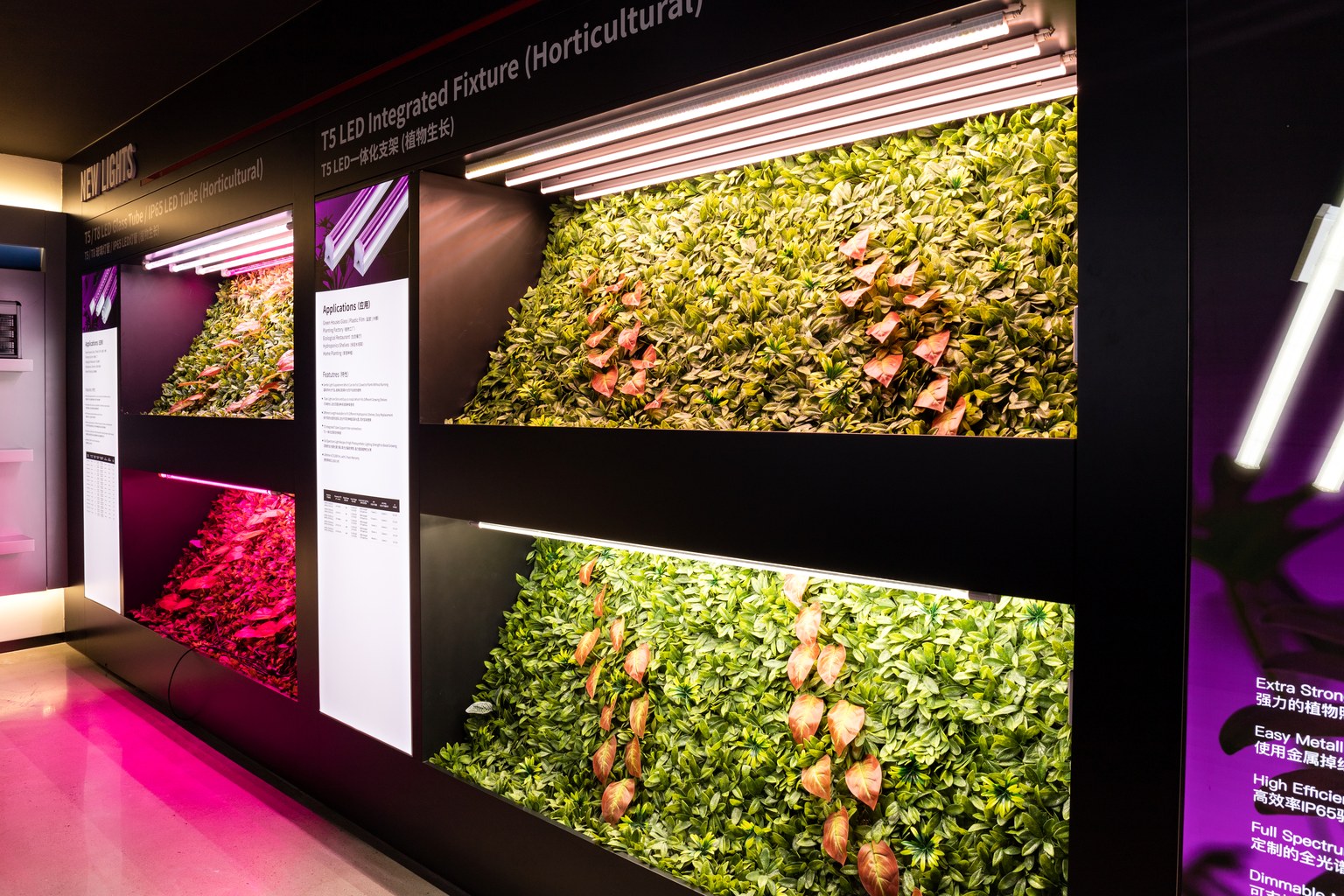 New Lights showroom displaying broad-white and red-blue horticultural lighting fixtures