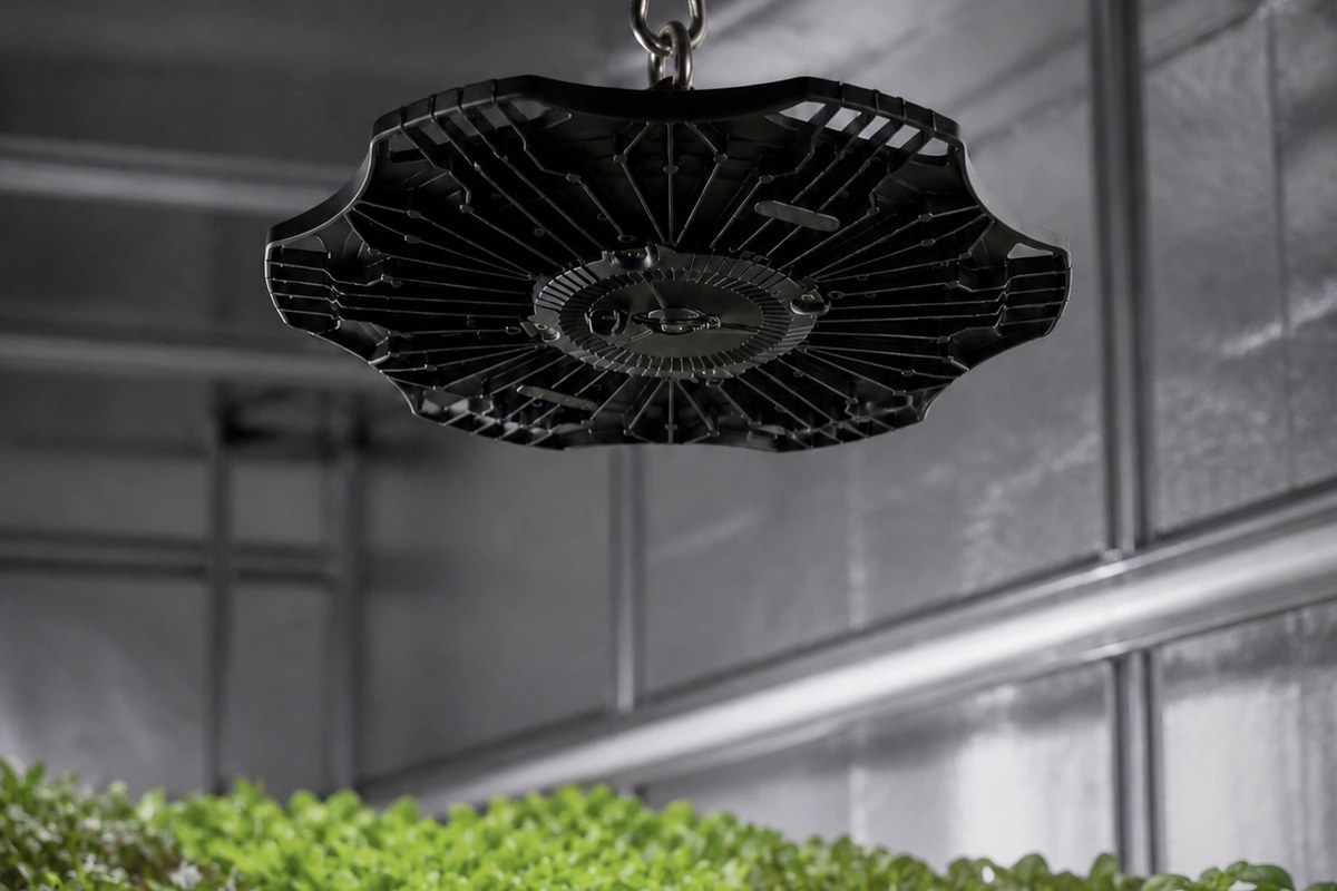 New Lights horticultural UFO LED high bay illuminating leafy greens