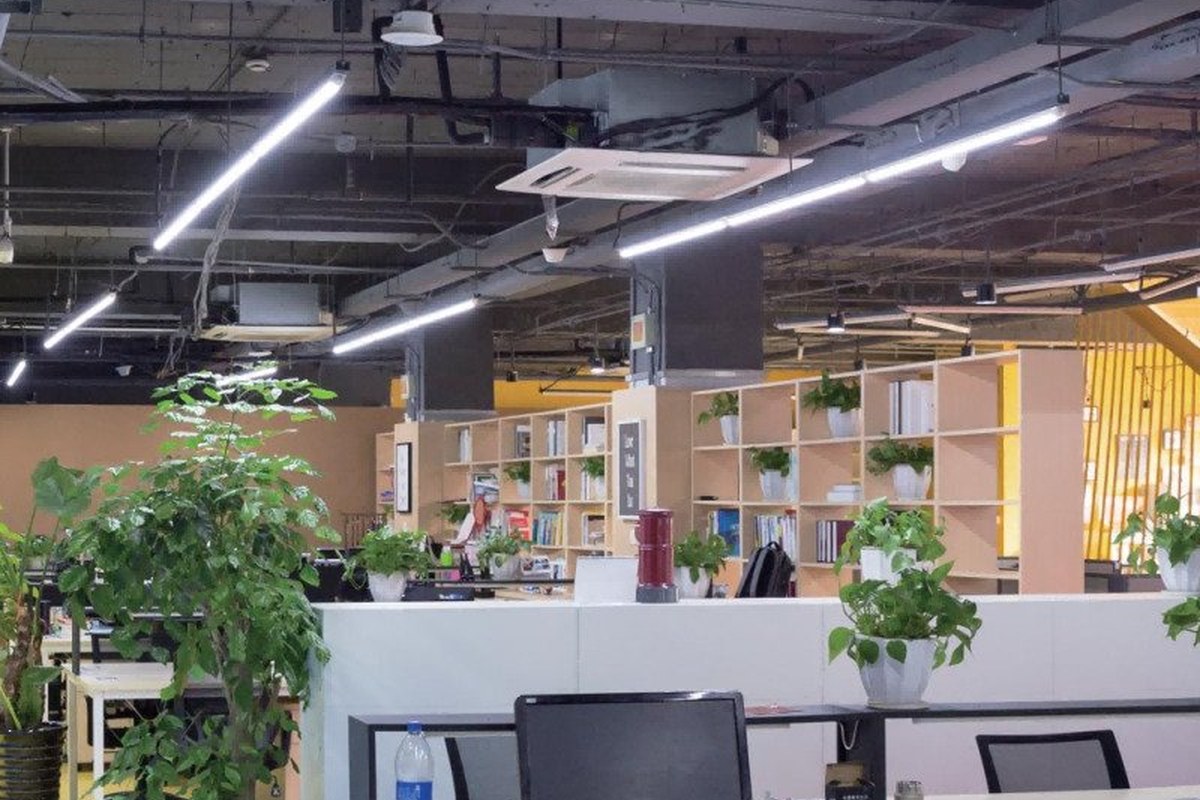 Linear luminaires installed above an indoor workspace