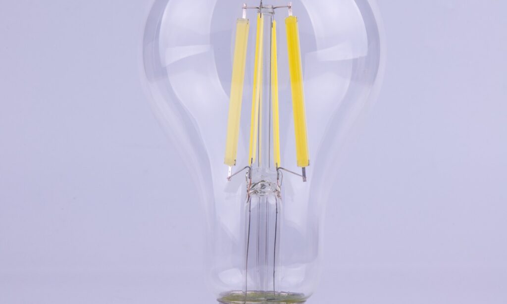 New Lights clear LED filament bulb detail