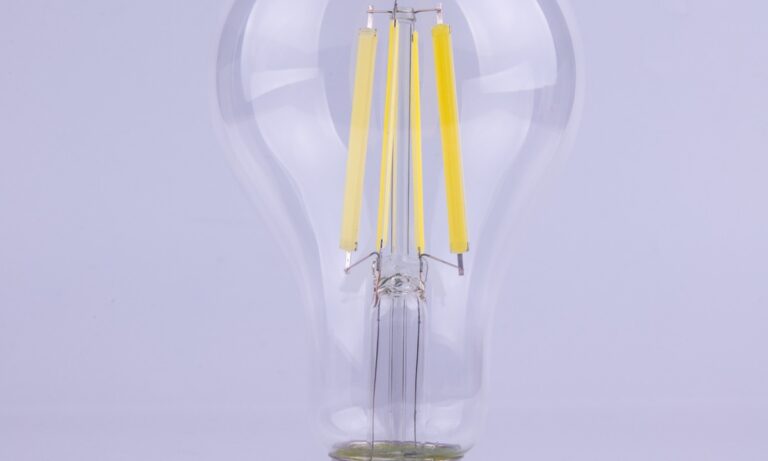 New Lights clear LED filament bulb detail